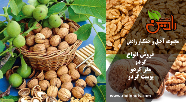 شرکت صادرات خشکبار ایران